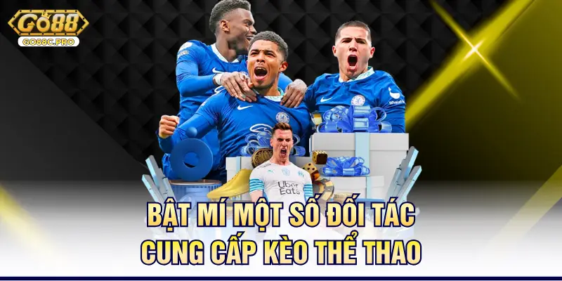 Bật mí một số đối tác cung cấp kèo thể thao