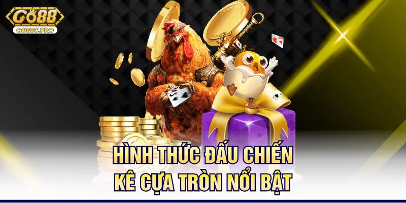 Hình thức đấu chiến kê cựa tròn nổi bật
