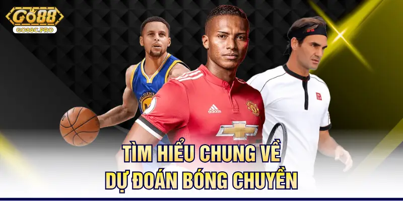 Tìm hiểu chung về dự đoán bóng chuyền 